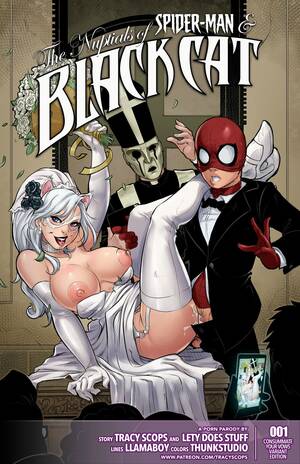 interracial porn black cat - The Nuptials of Spider-Man & Black Cat- LLamaboy - Porn Cartoon Comics