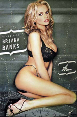 Briana Banks Animated Sex - Briana Banks Sexy Pin-Up Poster 24x36 â€“ BananaRoad