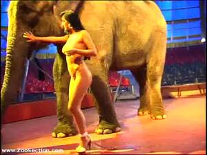 elephant cock deepthroat - Pure breasted exotic brunette whore strips as she dances around elephant in  this zoophilia vid - LuxureTV