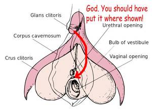 hentai sex positions drawing - Image result for Sex Positions for Orgasm Diagrams