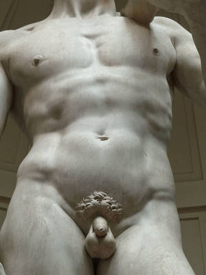 david stone's tiny dick - 'David'_by_Michelangelo_JBU10