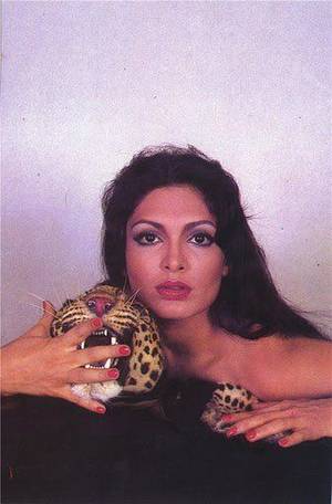 arveen babi indian actress bollywood nude - Bollywood actress Parveen Babi Live the Bollywood Lifestyle.