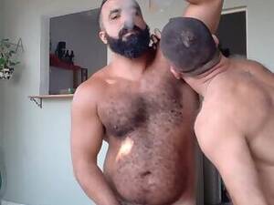 Hairy Bear Porn - hairy bear Porn â€“ Gay Male Tube