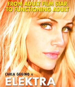 Carla Gugino Elektra Luxx Porn Star - Elektra Luxx Trailer Puts Carla Gugino Back In Her Porn Star Lingerie |  Cinemablend