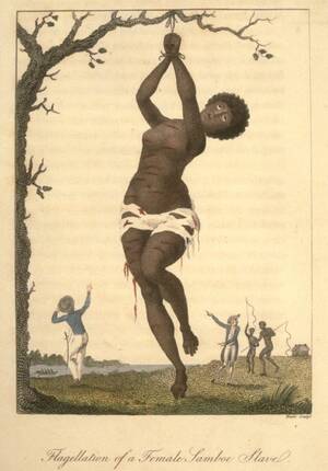 19th Century Slave Porn - Punishment, sexual violence and colonial social control