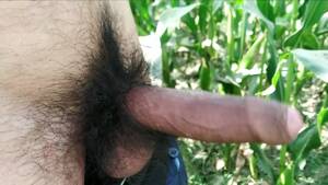 hairy huge cock - Hairy Big Cock, Lund Porn Video HD