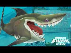 Hungary Shark Porn - Xxx Mp4 Hungry Shark World Baby Megalodon Pet Shark Max Kraken 3gp Sex Â»