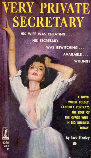1960s Secretary Porn - Very Private Secretary (1960). As I say in the book, the distance
