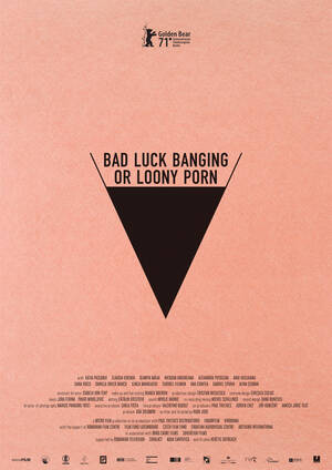 Imdb Sex Porn - Bad Luck Banging or Loony Porn (2021) - IMDb