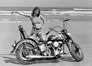 biker chick daytona beach topless - 