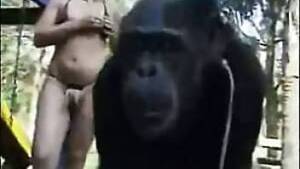 Monkey Sex - monkey Animal Porn