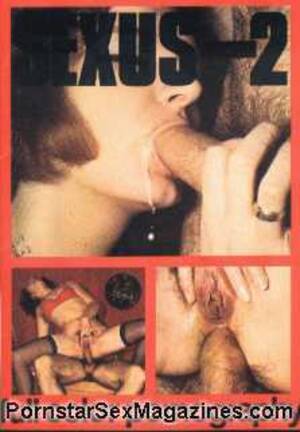 70s Retro Porn Magazines - Sexus 02 70s Retro Topsy porno Magazine - Lady in Nylons fucking Hairy Guy  @ Pornstarsexmagazines.com