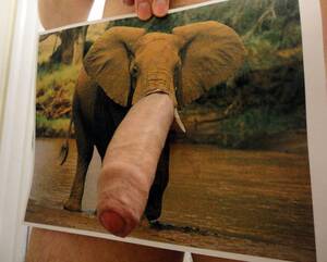 elephant cock deepthroat - Uncut Elephant Cock â‹† Dickshots.com - Gay amateur dick pics.