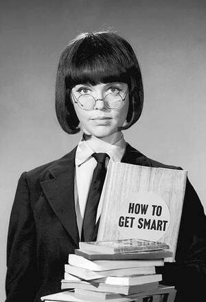 Barbara Feldon Porn - Barbara Feldon Agent 99 | How to get smarter, Television show, Tv series