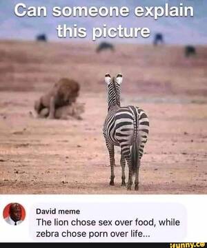 Lion Porn Captions - Can someone explain this picture David meme The lion chose sex over food,  while zebra chose porn over life... - iFunny Brazil