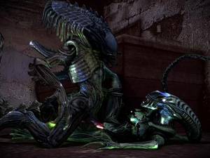 Alien And Predator Porn - 