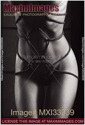 bondge hot black nudes - Photo of Art nude closeup of beautiful naked woman body with hemp Shibari  bondage ropes tied in... | Stock Image MXI33939