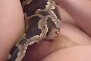 Bestiality Snake Sex - Beautiful homemade bestiality snake porn