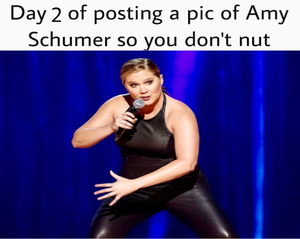 Amy Schumer Ass Porn - Day 3 People! Stay Strong! : r/memes