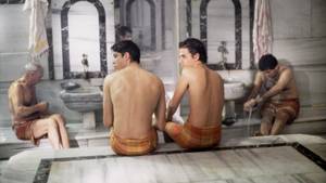 Male Turkish Porn - Ferzan Ã–zpetek's Movie HAMAM-THE TURKISH BATH