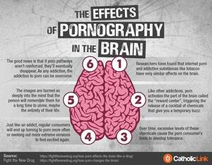 Impact Of Porn - The Effects Of Pornograhy On The Brain | Catholic-Link