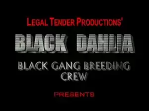 black dahlia gang fuck - Black Dahlia A1 - Shawna Gets Black Doggied & Knocked-Up | xHamster