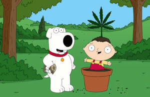 Family Guy Connie Damico Porn - Air Date: April 19, 2009. Best Cutaway: Peter gets so stoned that he's not  able to cue a cutaway, so Lois just sets up a list of people that Peter  hates, ...