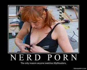 Funny Porn Humor Posters - Nerd Porn - Mythbusters Demotivational Poster