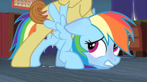 Mlp Hardcore Porn - My Little Pony Fluttershy Rarity Applejack Twilight Sparkle Pinkie Pie y  Rainbow Dash porn - XVIDEOS.COM