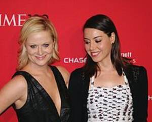 Amy Poehler Lesbian Porn - Amy Poehler - Wikipedia