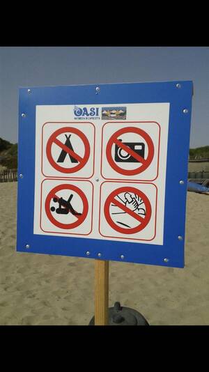 best nude beach blowjobs - Once again, the government telling us how to live our lives at the nude  beach : r/interestingasfuck