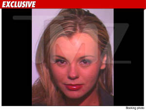 Bree Olson Porn Shop - Charlie Sheen's Porn Pal Bree Olson Arrested for DUI
