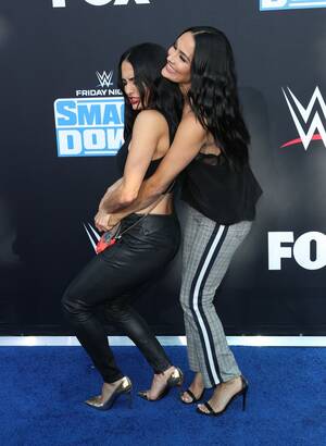 Brie Wwe Porn - Nikki Bella Flaunts Toned Abs With Twin Sister Brie at WWE Anniversary