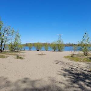 naturist beach rio - SAUVIE ISLAND NUDE BEACH - Updated March 2024 - 76 Photos & 38 Reviews -  Portland, Oregon - Beaches - Yelp