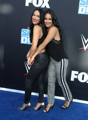 Brie Wwe Porn - Nikki Bella Flaunts Toned Abs With Twin Sister Brie at WWE Anniversary