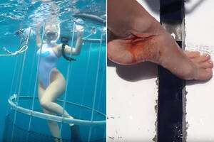 Hungary Shark Porn - Porn star's underwater shoot ends with a shark and blood