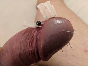 Needle Fetish Porn - Cock Head Piercing Needle Fetish CBT Porn Pictures, XXX Photos, Sex Images  #4033481 - PICTOA