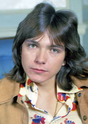 david stone's tiny dick - David Cassidy