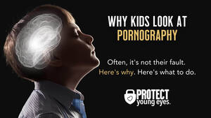 lets you freak out - Why Kids Look at Pornography (It's not their fault) - Protect Young Eyes