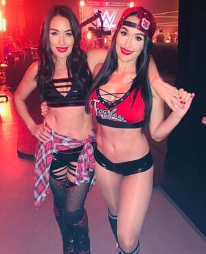 Brie Wwe Porn - WWE's Bella twins used to pay the bills at Hooters â€“ now they're worth $12m  and own matching LA mansions & lingerie line | The Irish Sun