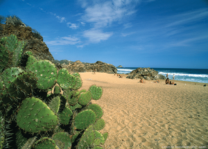 famous nudist beach - This Nude Beach Is Mexico's Best-Kept Queer Secret