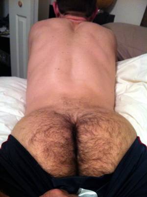 Hairy Butt Porn - Gay Hairy Asshole Porn