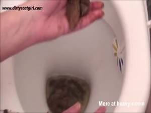 Bbw Toilet Porn - Crazy Scat Games On Toilet