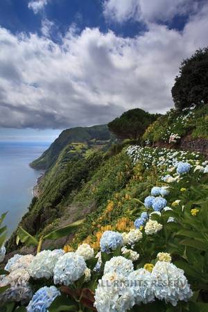 Azorean Porn - SÃ£o Miguel (Azores)