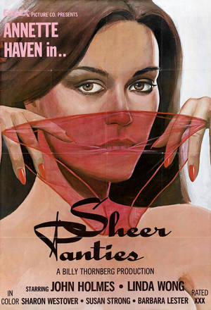 1970s Vintage Art - Sheer Panties - 1979