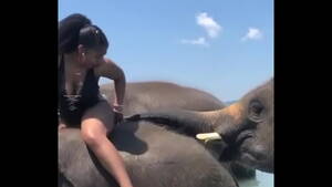 elephant cock deepthroat - elephant-black-cul - XVIDEOS.COM