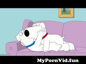 Brian From Family Guy Sex Toys - Brian Having Sex With Robot Brian (Family Guy) from www xxx brian Watch  Video - MyPornVid.fun