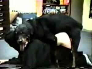 black k9 whore - Massive black K9 panting heavily as he fucks a whore doggystyle on the  floor - LuxureTV