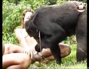 Monkey Porn Bestiality - Zoophilia monkey - Extreme Porn Video - LuxureTV