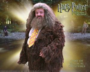 Daphne Greengrass Harry Potter Porn - Harry Potter wallpaper called Rubeus Hagrid